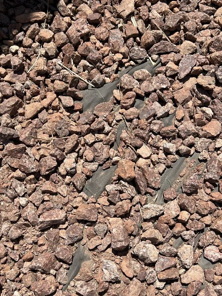 Top-rated landscaping services in Manor, TX - Dcancio Landscape