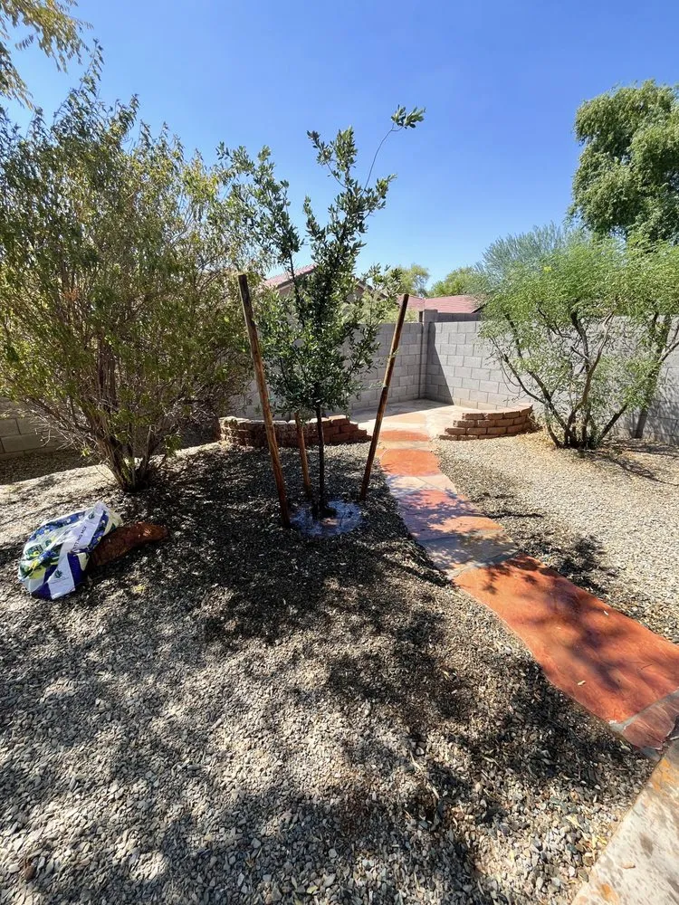 Local yard maintenance in Manor, TX by Dcancio Landscape