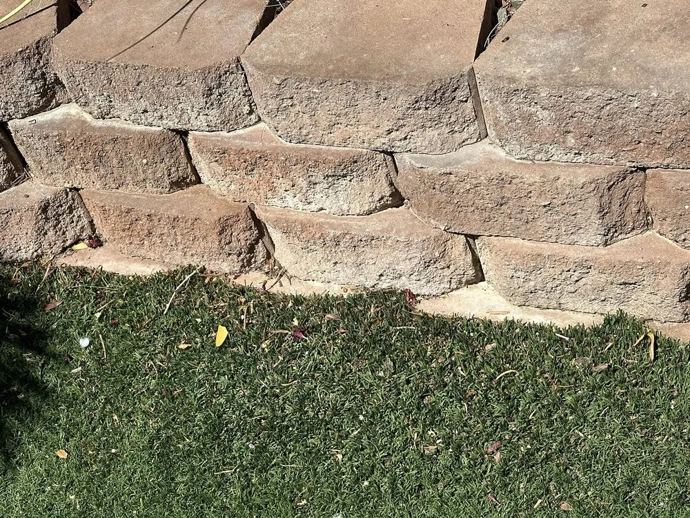 Trusted yard cleanup service for outdoor upgrades across Manor, TX - Dcancio Landscape