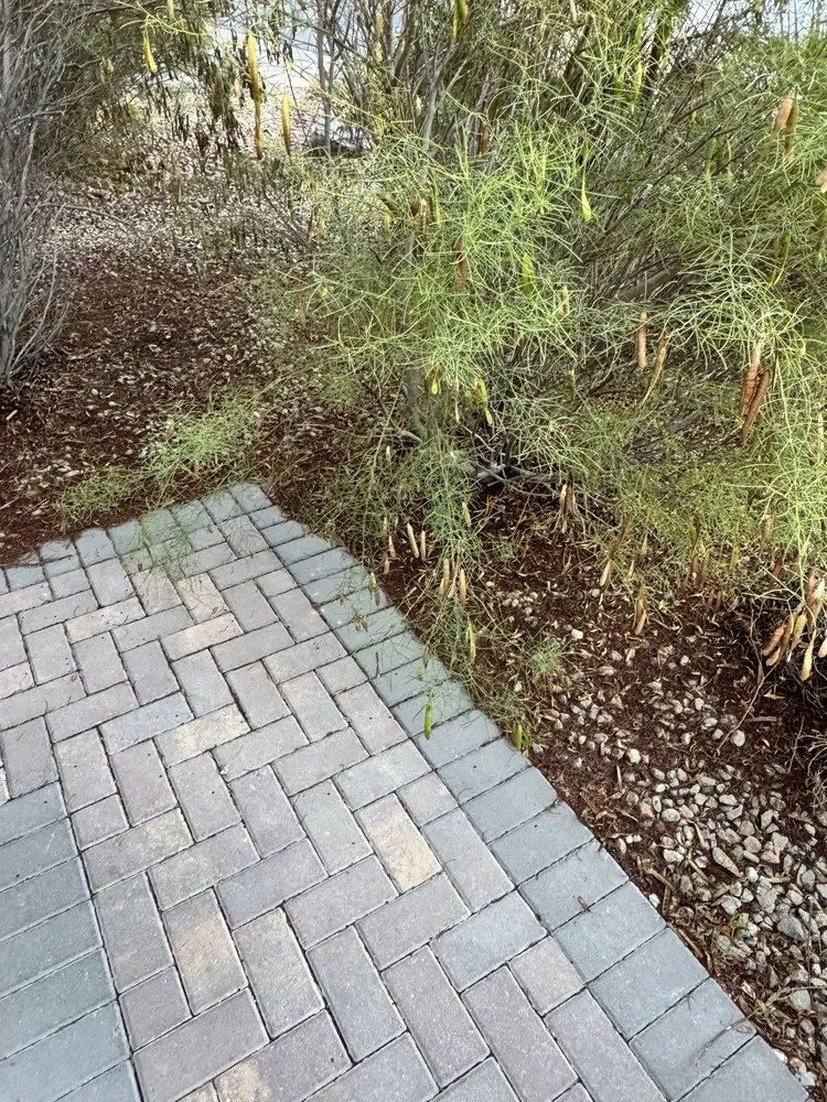 Expert lawn mowing service with custom design in Manor, TX by Dcancio Landscape