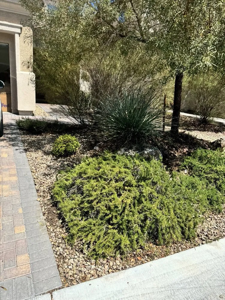 Professional lawn mowing service in Manor, TX - Dcancio Landscape