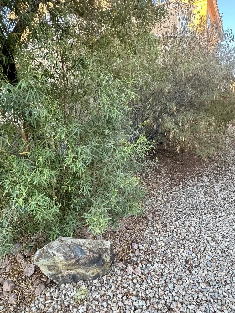 Affordable landscape design for outdoor upgrades across Manor, TX - Dcancio Landscape