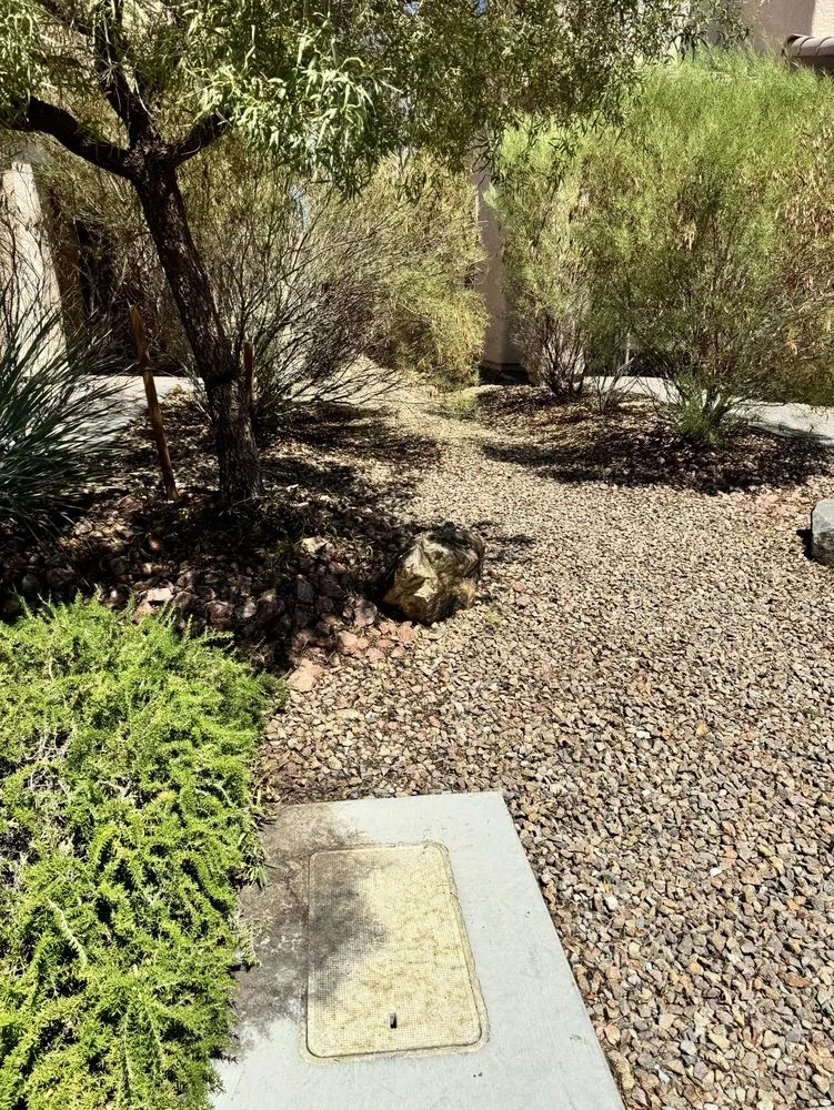 Trusted yard maintenance in Manor, TX by Dcancio Landscape