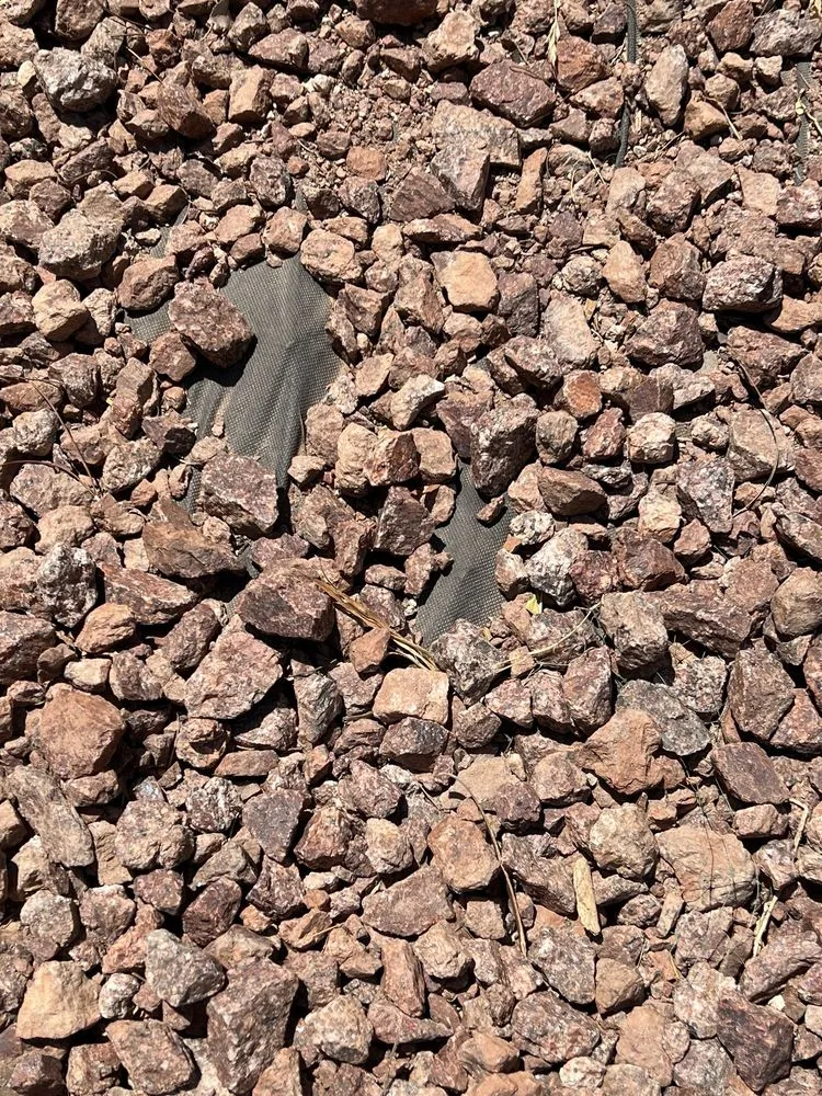 Top-rated lawn care service for homes in Manor, TX by Dcancio Landscape