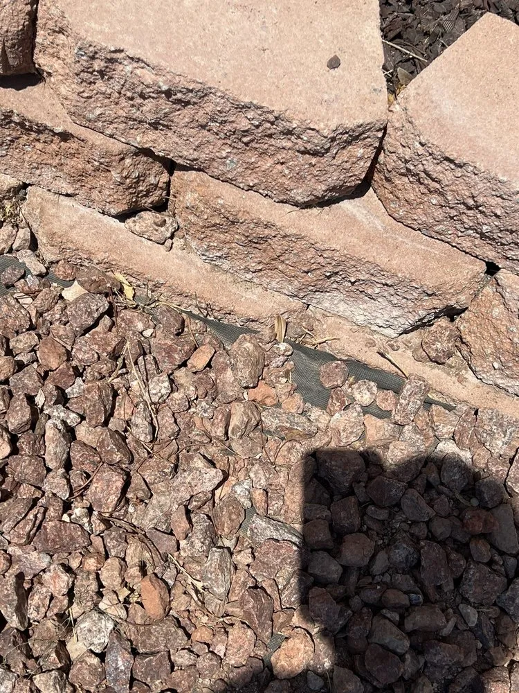 Expert lawn mowing service in Manor, TX - Dcancio Landscape