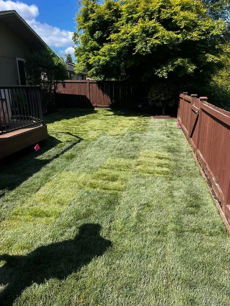 Local landscape design in Wenatchee, WA by DCB Landscaping