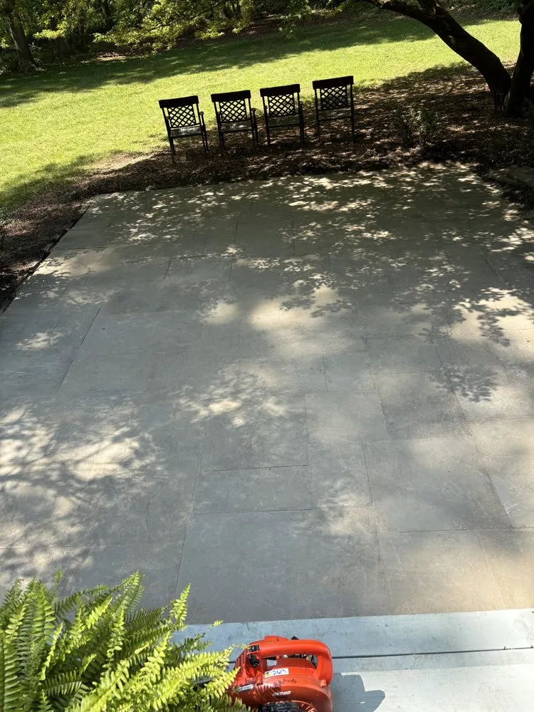 Local yard cleanup service in Long Valley, NJ by DCD Labor