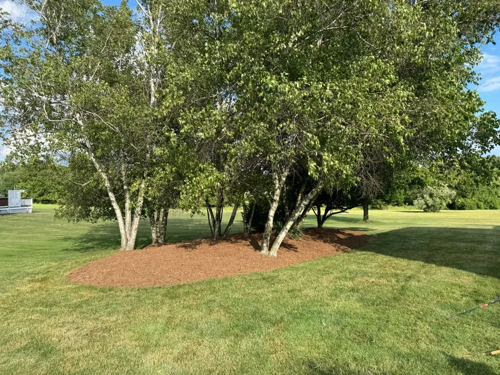 Affordable garden landscaping in Long Valley, NJ - DCD Labor