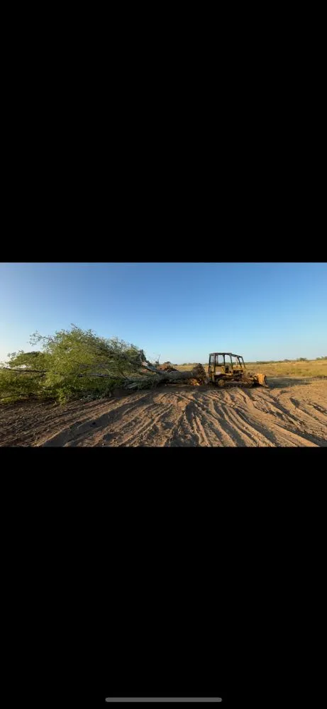 Local outdoor landscaping for outdoor upgrades in Beeville, TX by DCD Service