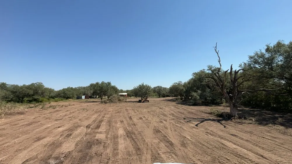 Expert landscaping services for outdoor upgrades in Beeville, TX by DCD Service