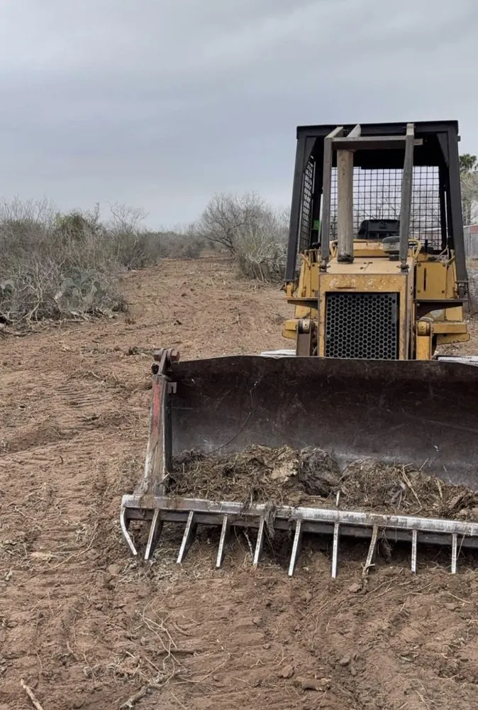 Local landscaping services in Beeville, TX by DCD Service