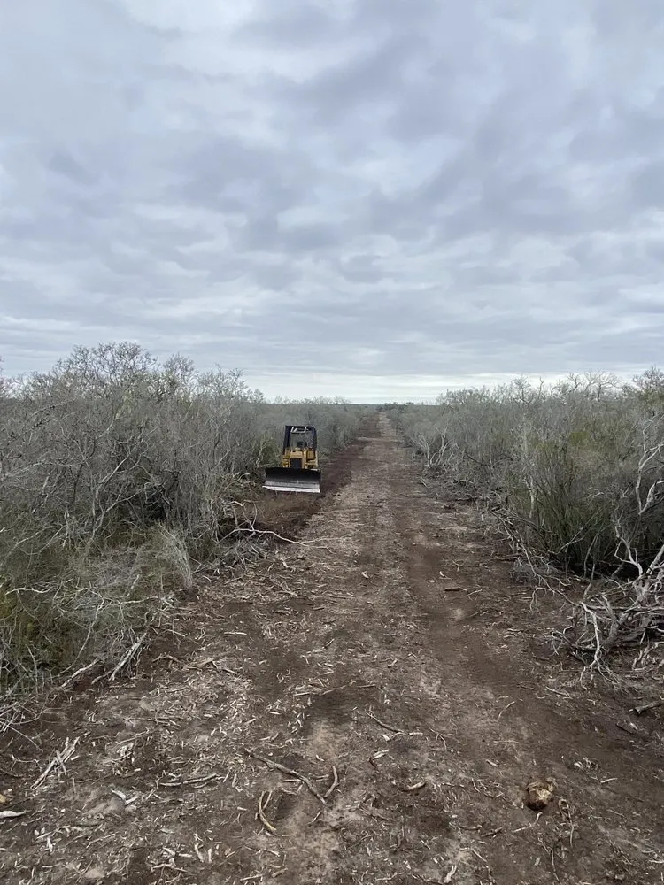 Reliable landscape installation in Beeville, TX - DCD Service