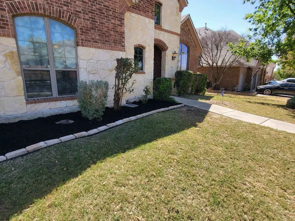 Local yard cleanup service near you in San Antonio, TX by DCG Multi services