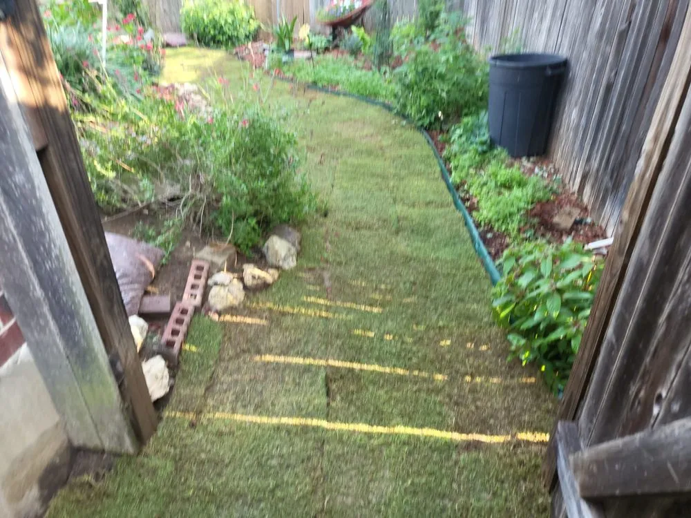 Top-rated lawn mowing service experts serving San Antonio, TX - DCG Multi services