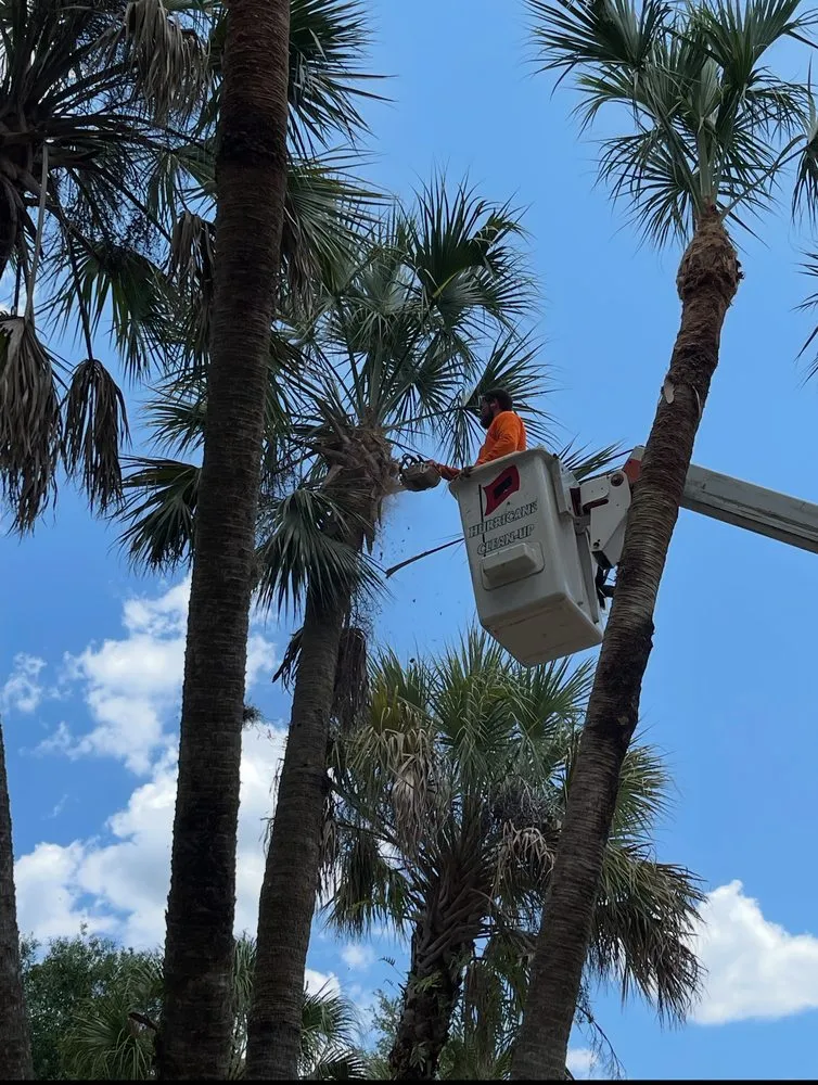 Affordable garden landscaping in North Port, FL by DCH Landscape Maintenance