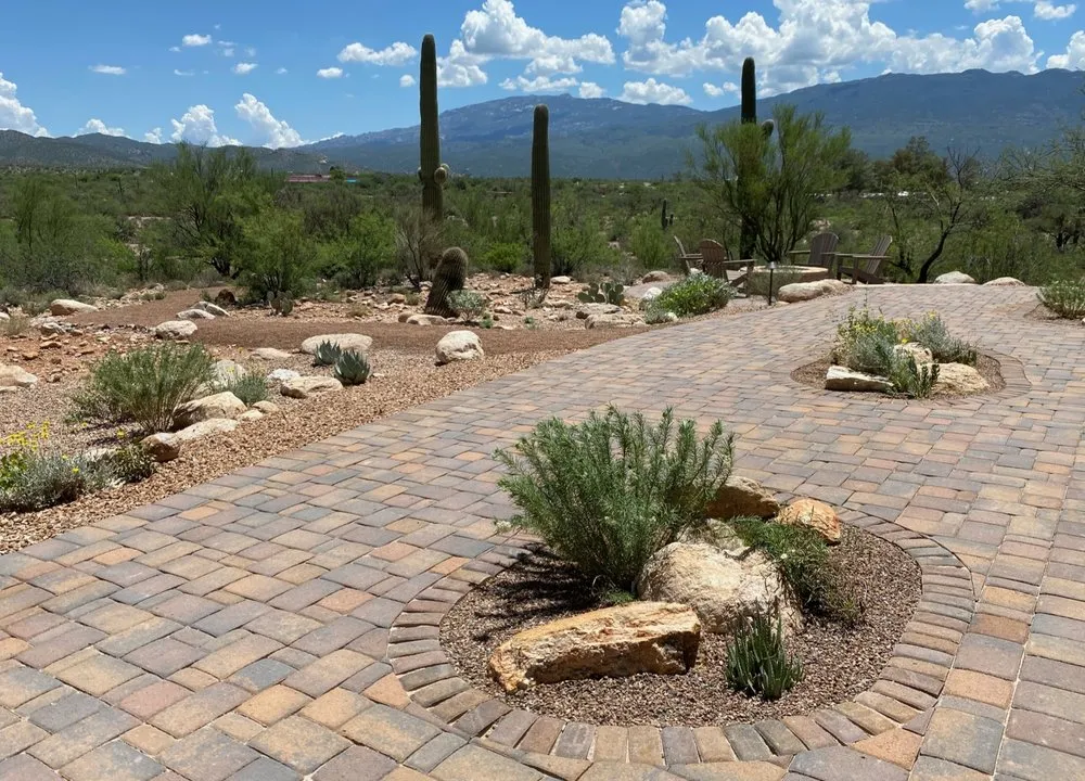 Custom yard cleanup service in Tucson, AZ by DCJ & Associates
