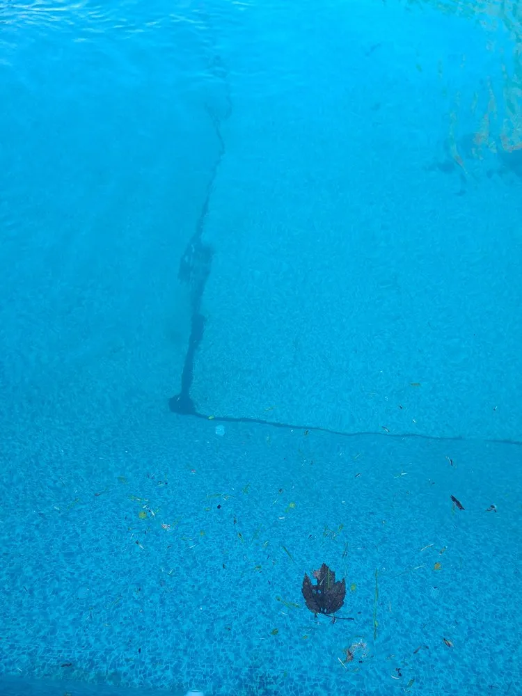 Top-rated yard cleanup service experts serving Warwick, RI - DCJ Landscape Services