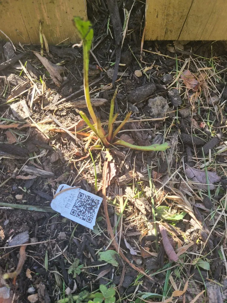 Trusted landscape installation for residential properties in Warwick, RI by DCJ Landscape Services