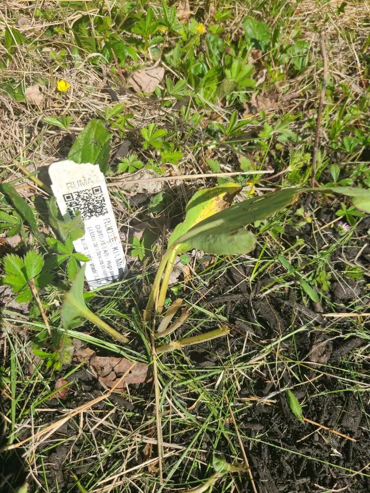 Top-rated outdoor landscaping for residential properties across Warwick, RI - DCJ Landscape Services