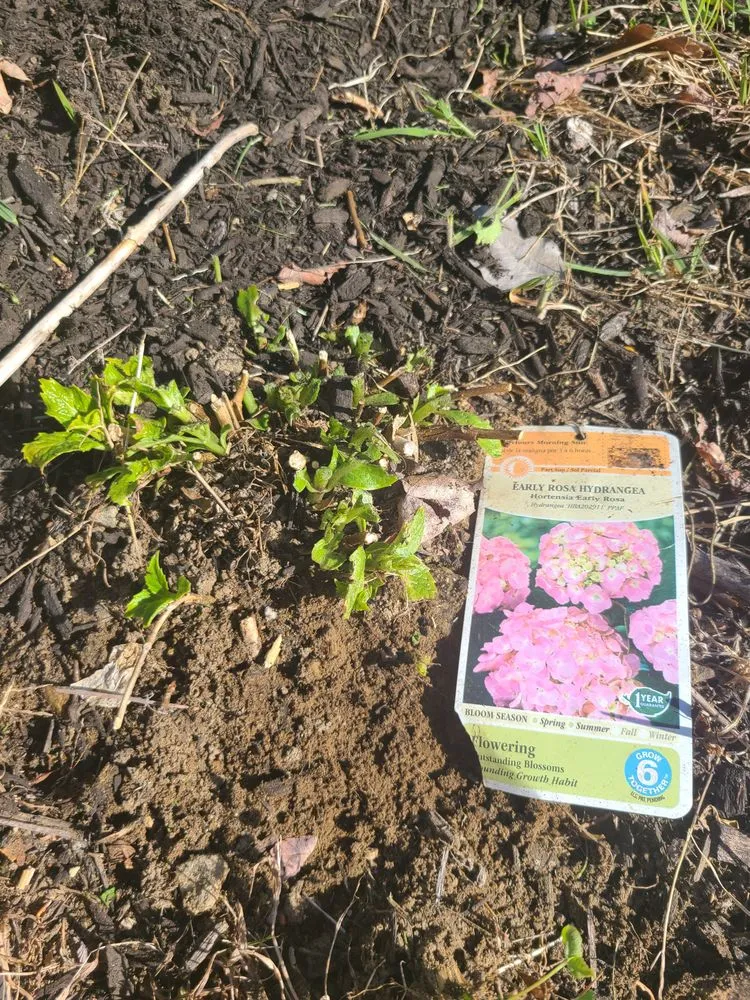 Local landscape design for year-round maintenance across Warwick, RI - DCJ Landscape Services