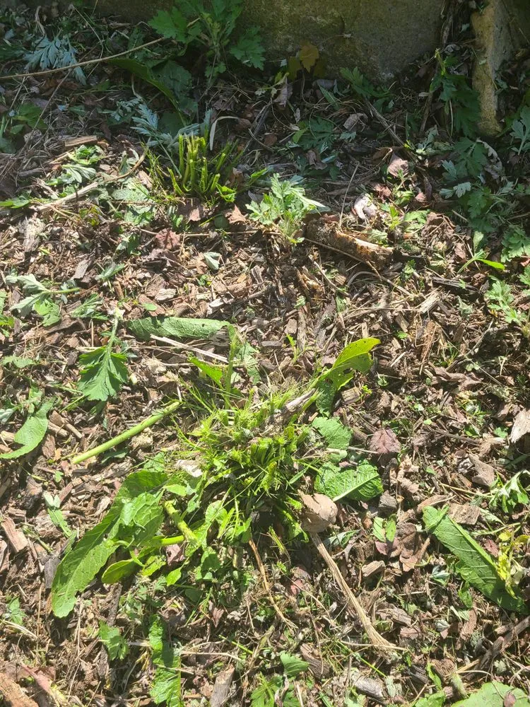 Affordable garden landscaping experts serving Warwick, RI - DCJ Landscape Services