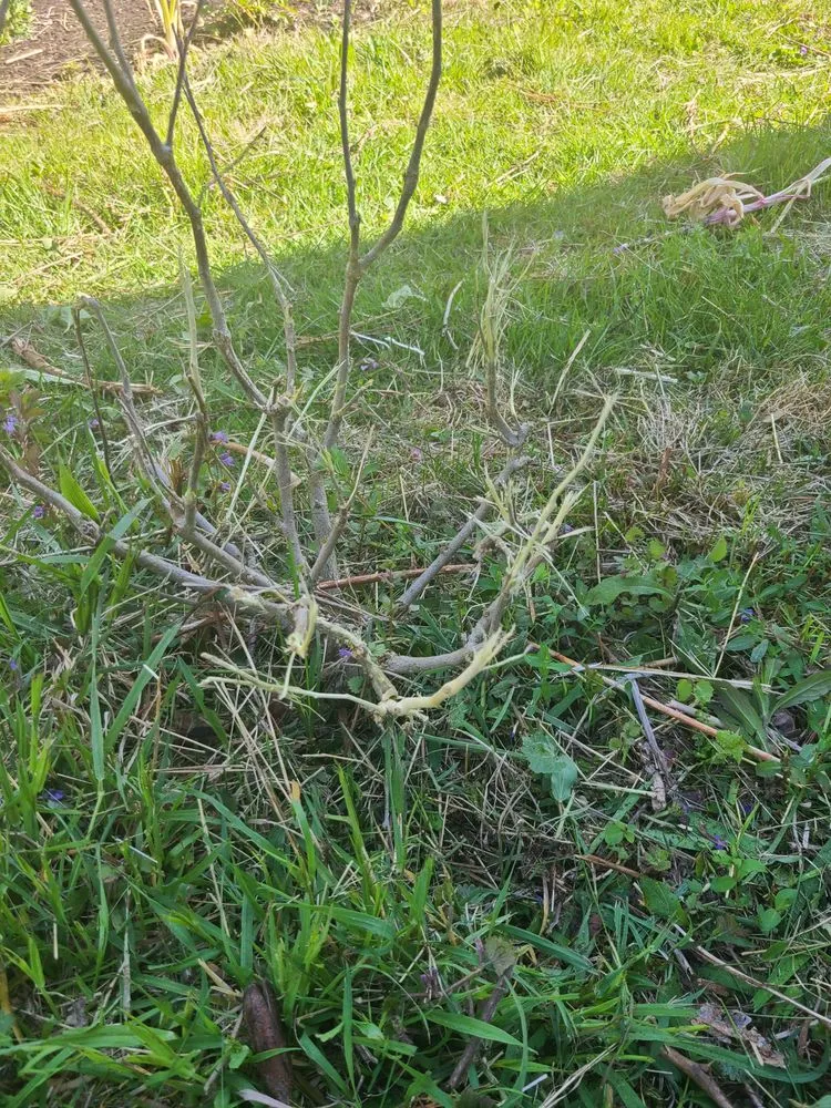 Reliable landscape design in Warwick, RI - DCJ Landscape Services