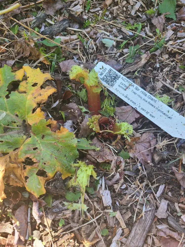 Reliable outdoor landscaping for residential properties in Warwick, RI by DCJ Landscape Services