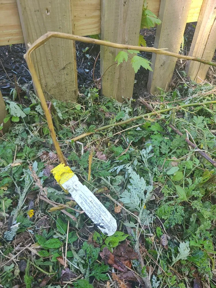 Trusted landscape installation for beautiful yards in Warwick, RI by DCJ Landscape Services