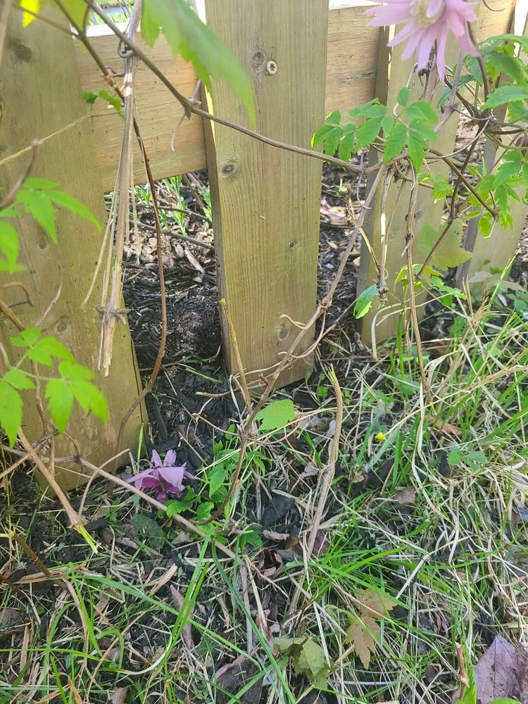 Expert lawn care service in Warwick, RI by DCJ Landscape Services