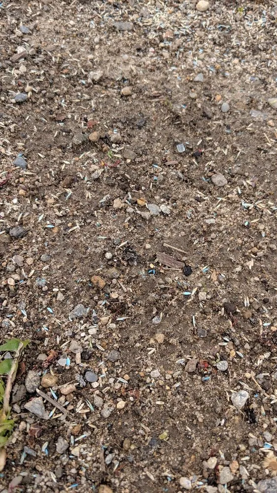 Reliable landscape design in Warwick, RI - DCJ Landscape Services