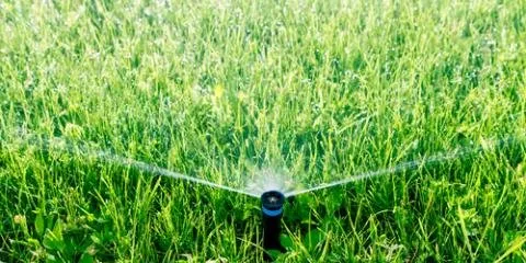 Expert landscape installation for residential properties across Nekoosa, WI - DCM Landscaping