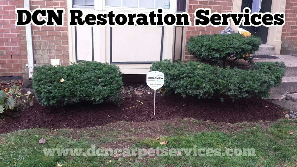 Professional yard cleanup service for residential properties in Silver Spring, MD by DCN Restoration Services