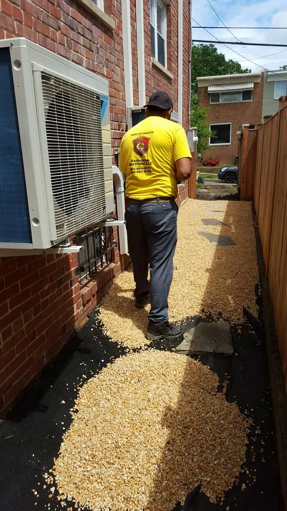 Top-rated yard cleanup service in Silver Spring, MD by DCN Restoration Services