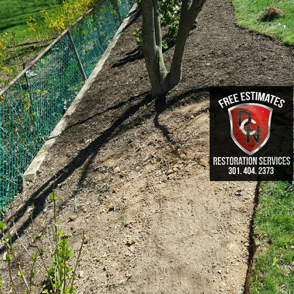 Reliable lawn care service in Silver Spring, MD by DCN Restoration Services