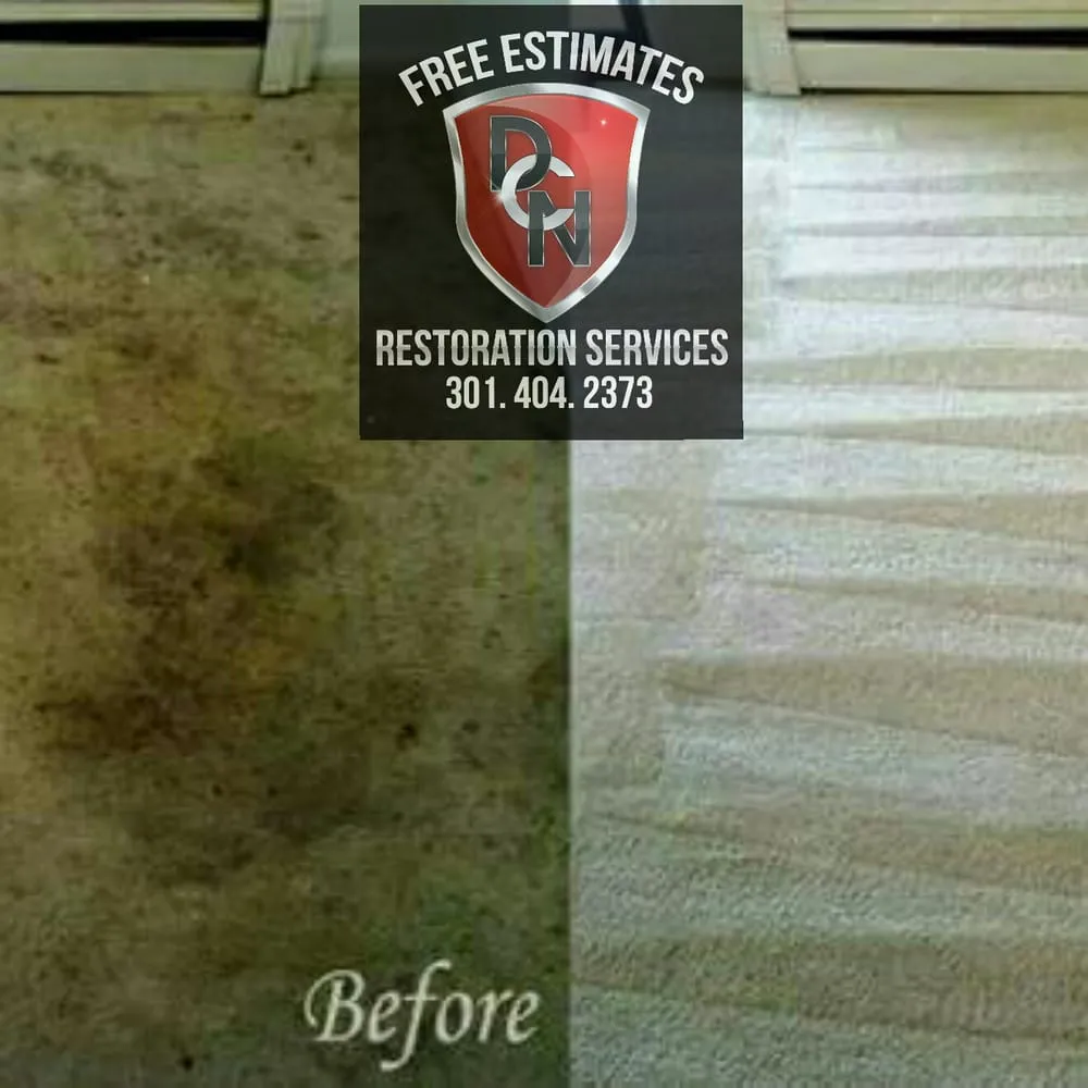 Custom yard maintenance in Silver Spring, MD - DCN Restoration Services