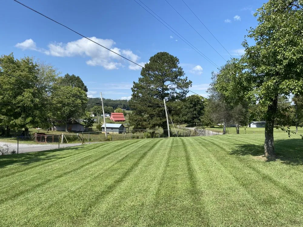 Local lawn care service in Cleveland, TN - D’Co Lawn Specialist