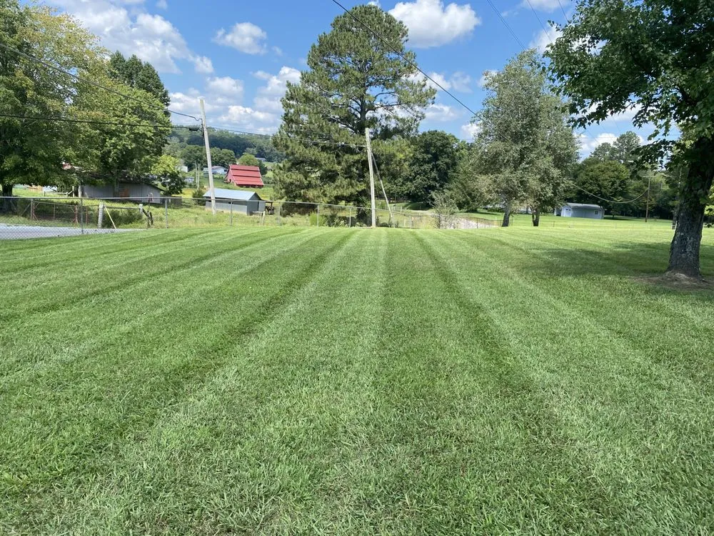 Local yard maintenance for residential properties across Cleveland, TN - D’Co Lawn Specialist