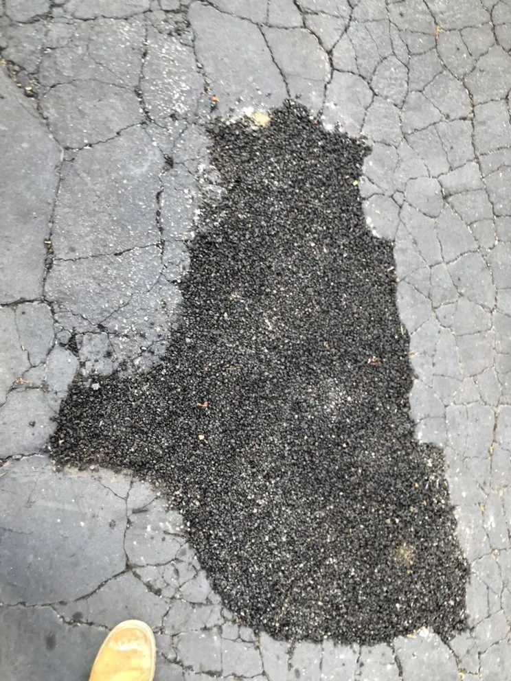 Custom landscape installation in Revere, MA by DCP services