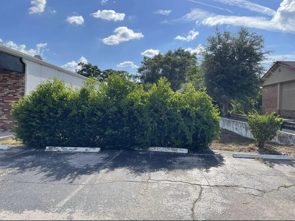 Top-rated landscape installation with custom design across Dade City, FL - Dcr Kutz