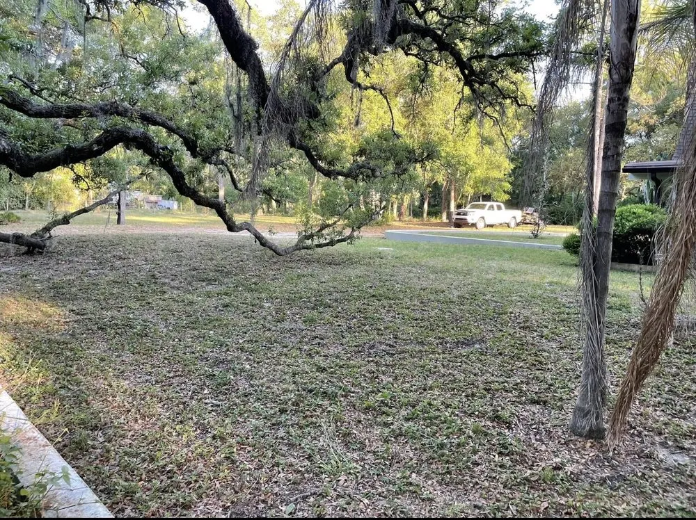 Expert landscaping services for year-round maintenance in Dade City, FL by Dcr Kutz