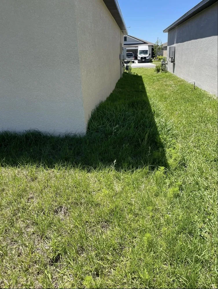 Custom yard cleanup service experts serving Dade City, FL - Dcr Kutz