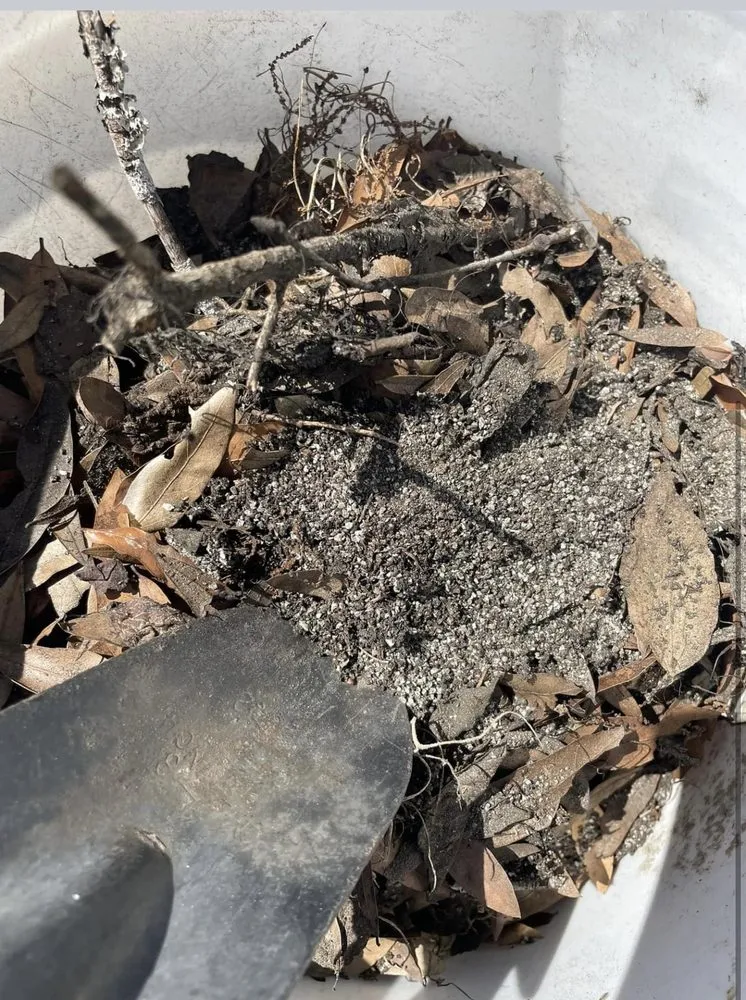 Professional landscape installation experts serving Dade City, FL - Dcr Kutz