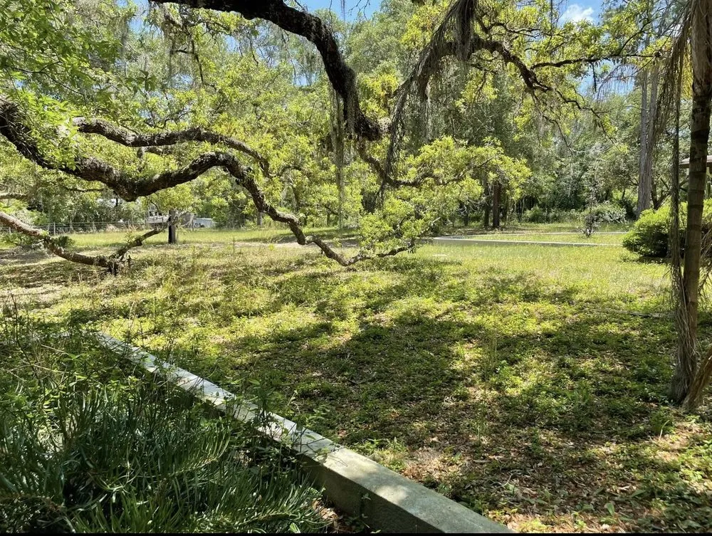 Top-rated residential landscaping in Dade City, FL by Dcr Kutz