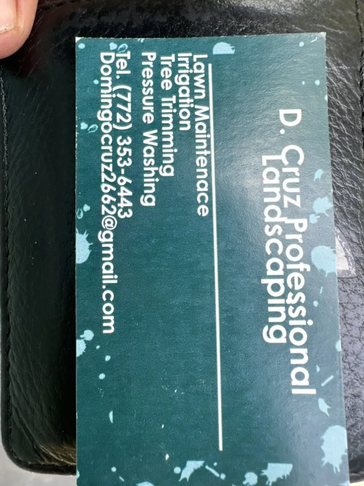 Trusted yard maintenance for outdoor upgrades in Lakeland, FL by D.Cruz Professional Landscape