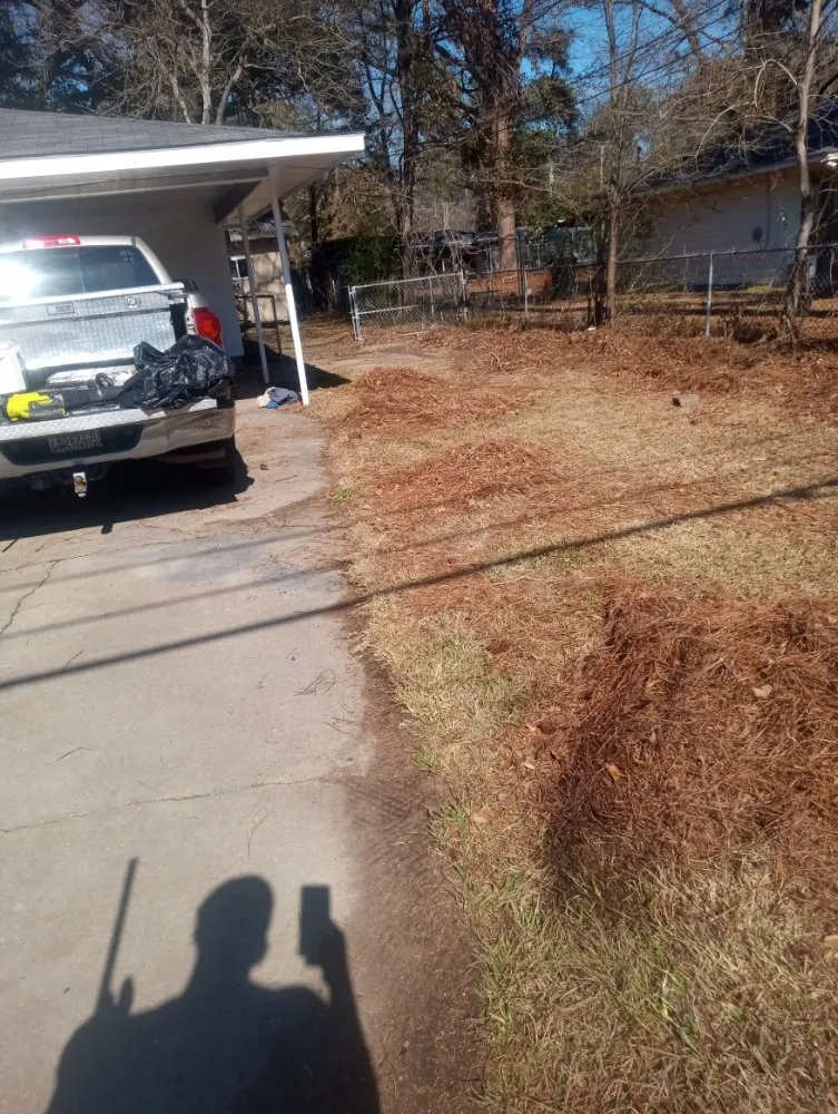 Trusted landscape installation experts serving Calhoun, LA - DC's Dynamic Designs