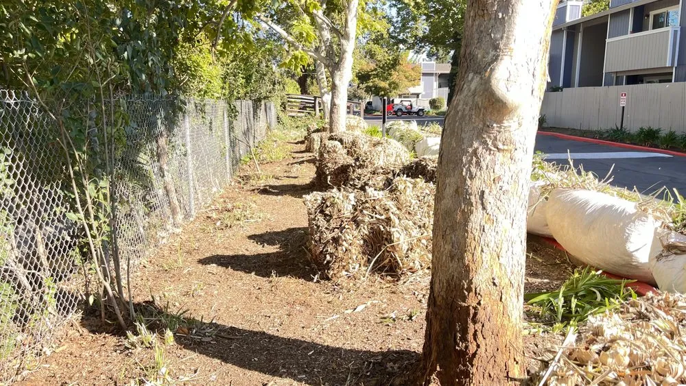 Local outdoor landscaping in Auburn, CA - Dcs Landscaping