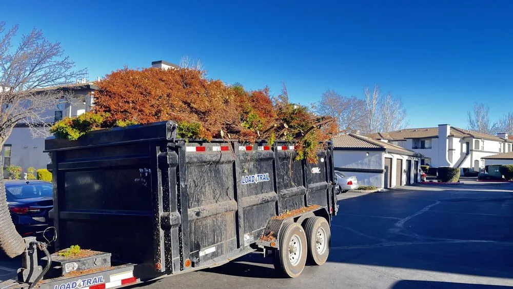 Professional yard cleanup service experts serving Auburn, CA - Dcs Landscaping