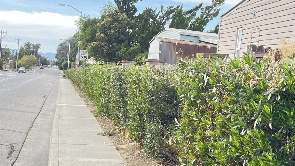 Professional landscape design near you in Auburn, CA by Dcs Landscaping