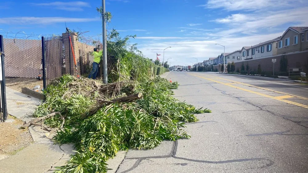 Top-rated landscape design experts serving Auburn, CA - Dcs Landscaping