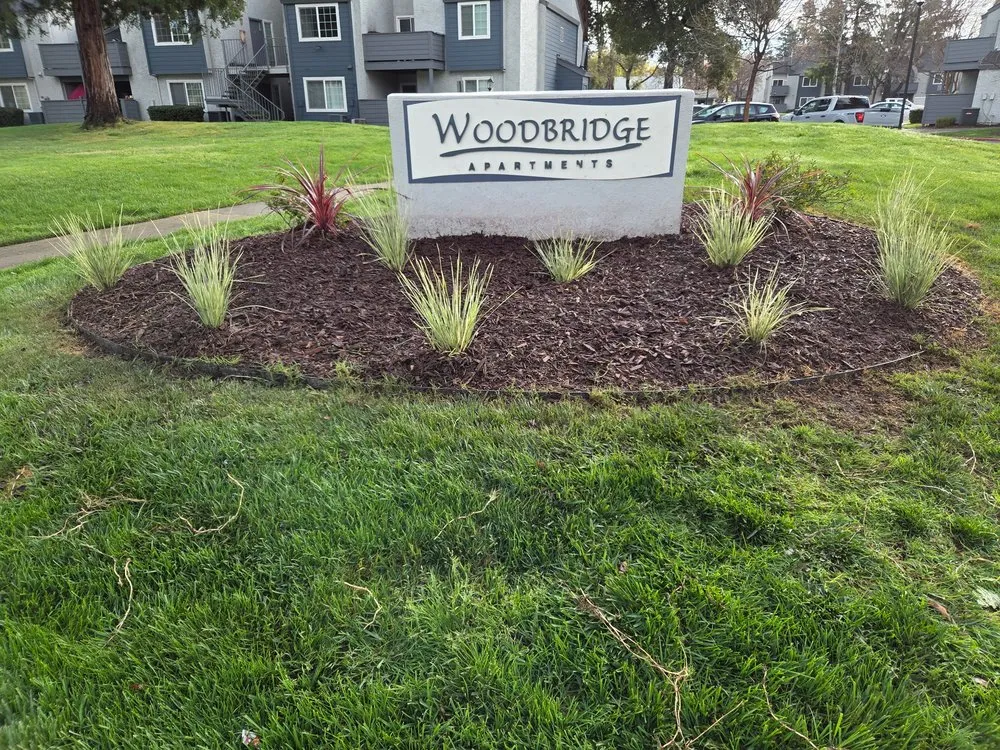 Trusted lawn care service experts serving Auburn, CA - Dcs Landscaping